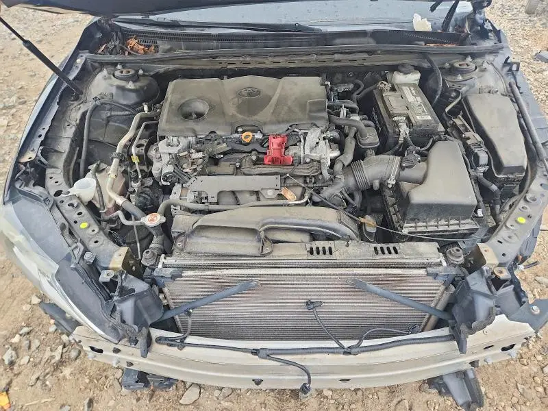 2019 TOYOTA CAMRY SE  