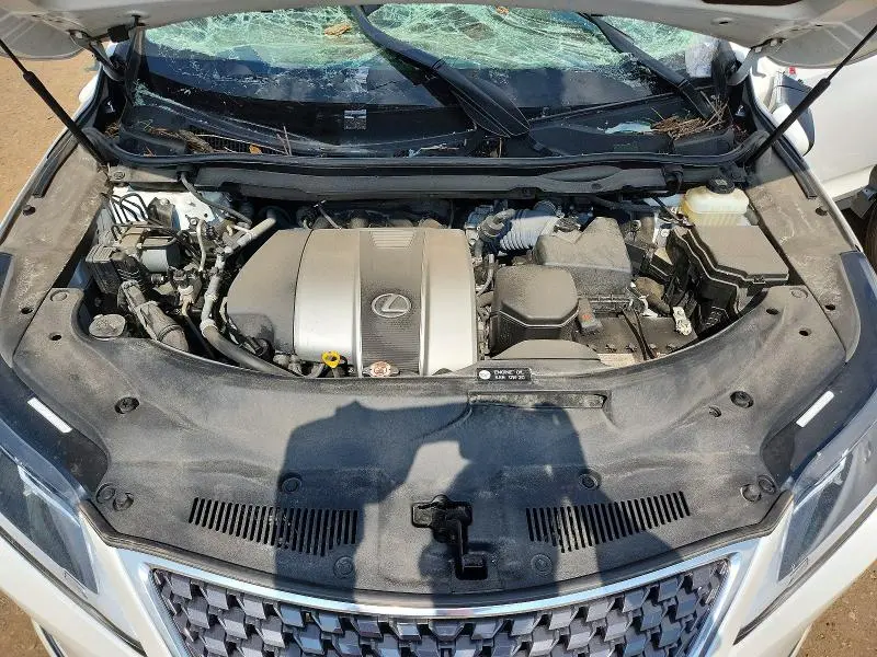 2022 LEXUS RX 350 L  