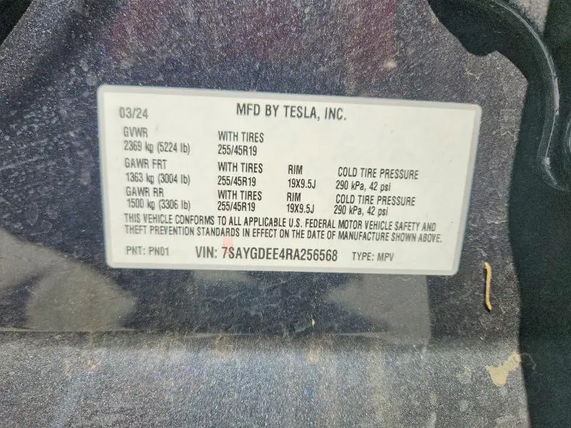 2024 TESLA MODEL Y   