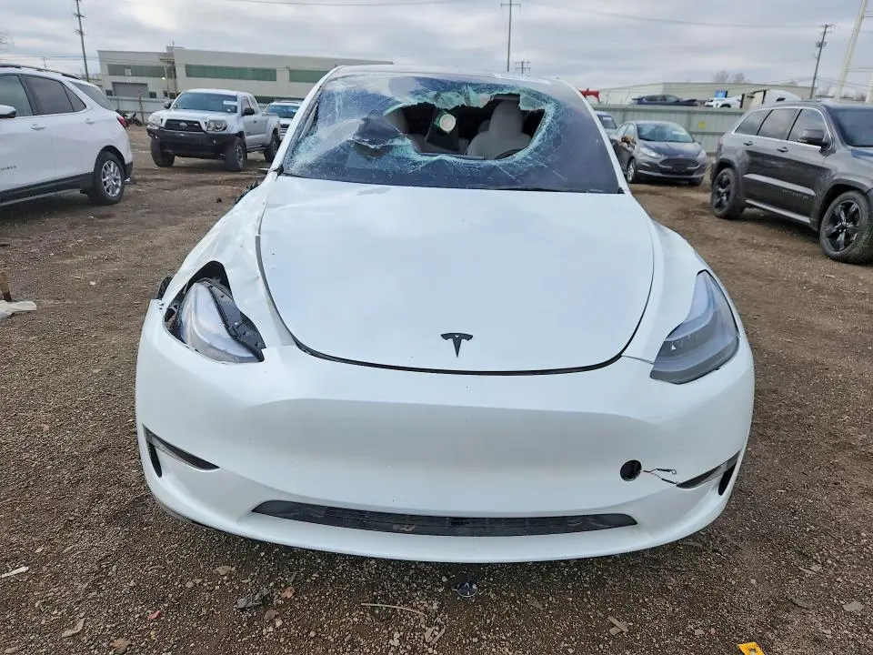 2025 TESLA MODEL Y   