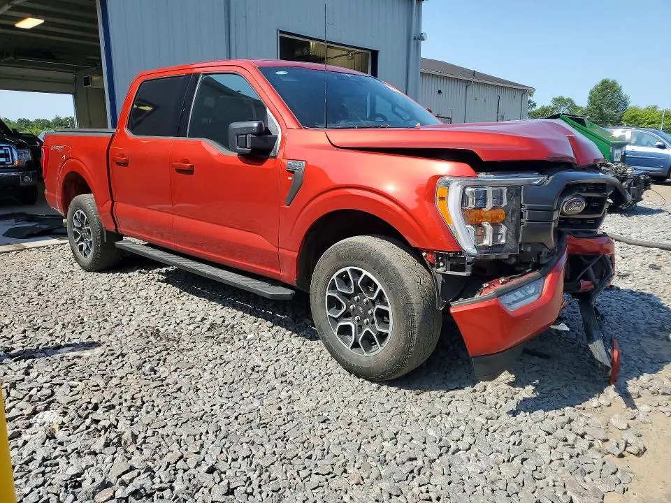 2023 FORD F150 SUPERCREW  