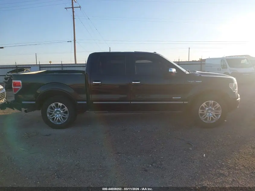 2013 FORD F-150 PLATINUM