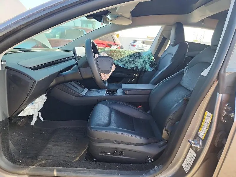 2025 TESLA MODEL 3   