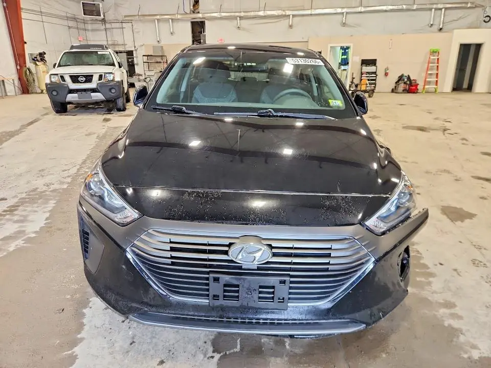 2019 HYUNDAI IONIQ BLUE  