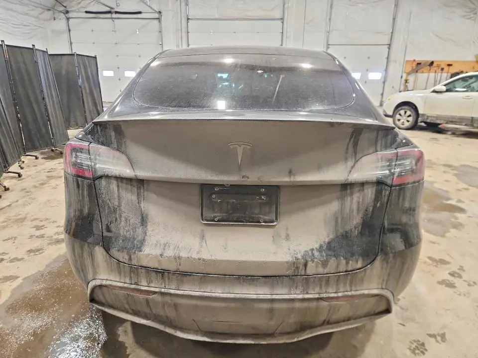 2020 TESLA MODEL Y   