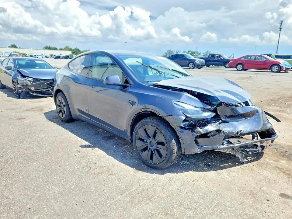 2025 TESLA MODEL Y   