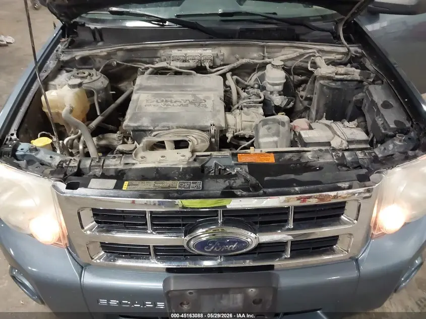 2011 FORD ESCAPE XLT