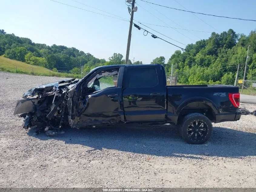 2023 FORD F-150 XL