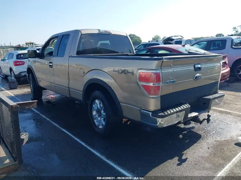 2013 FORD F-150 XLT