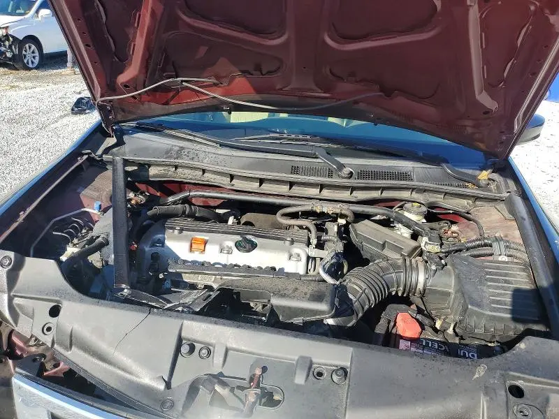 2010 HONDA ACCORD EXL  