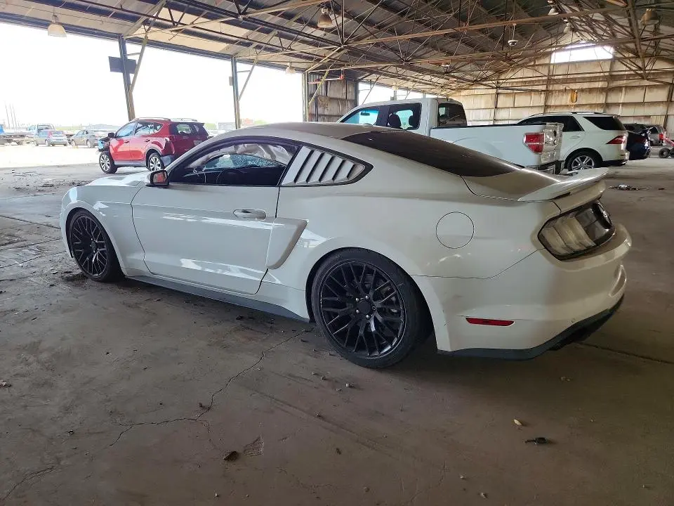 2019 FORD MUSTANG GT  