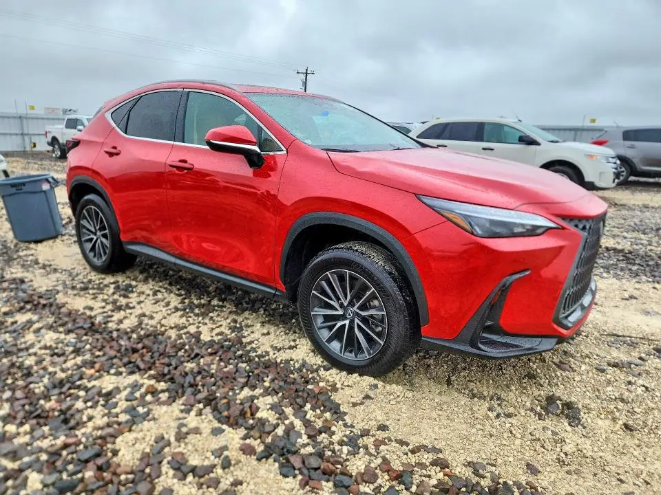2024 LEXUS NX 250 PREMIUM  