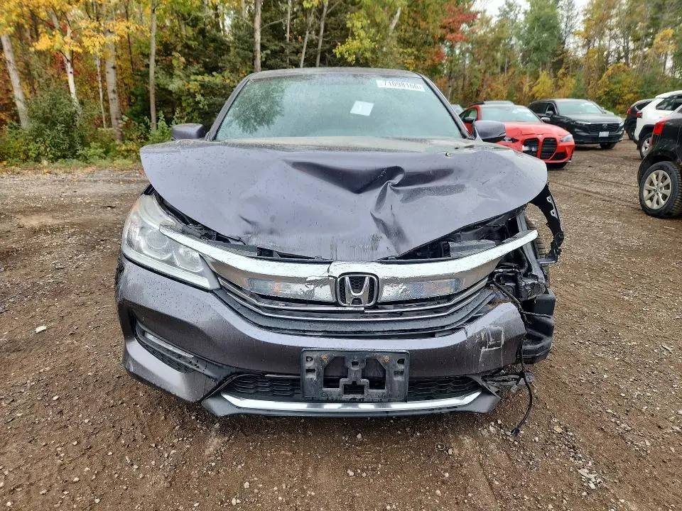 2017 HONDA ACCORD SPORT  