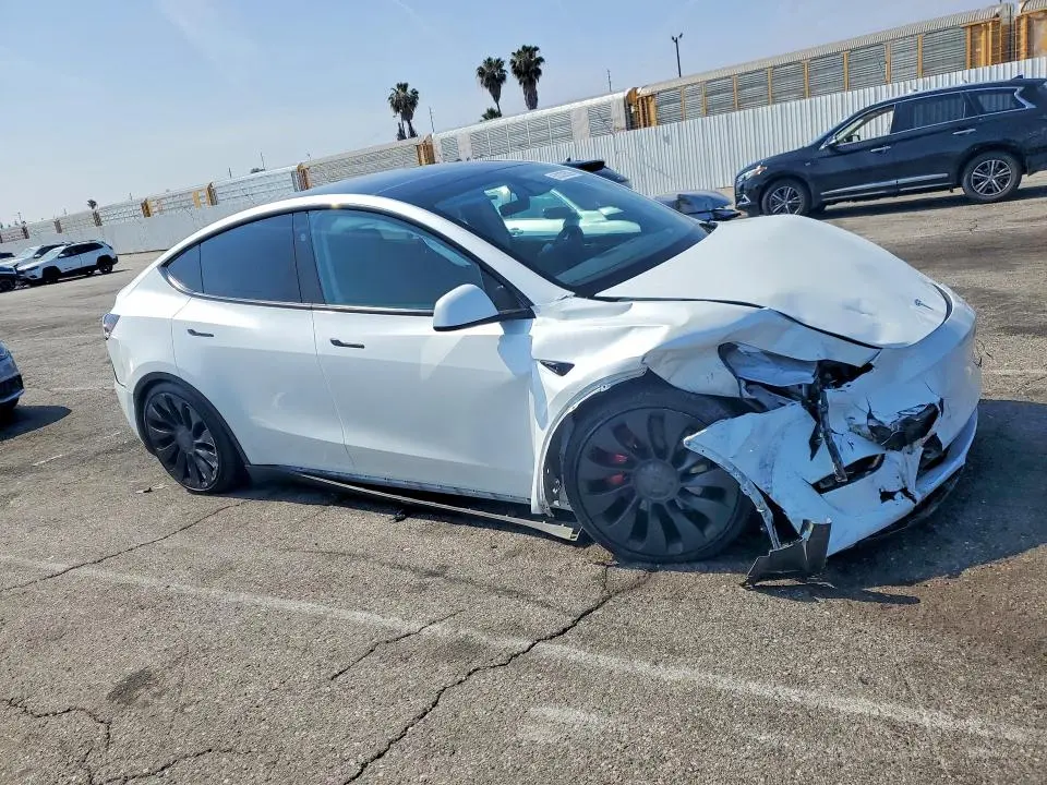 2023 TESLA MODEL Y   