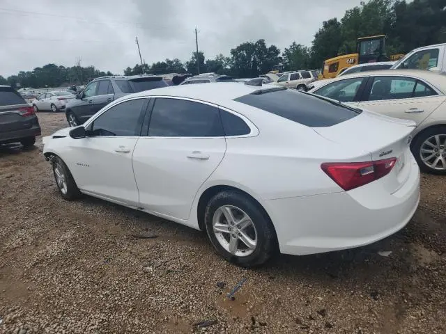 2019 CHEVROLET MALIBU LS  