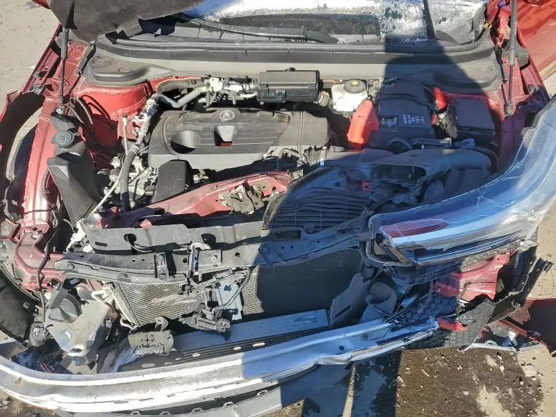 2019 ACURA RDX ADVANCE  