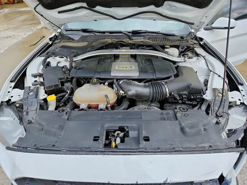2019 FORD MUSTANG GT  