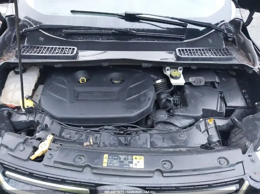2013 FORD ESCAPE SEL