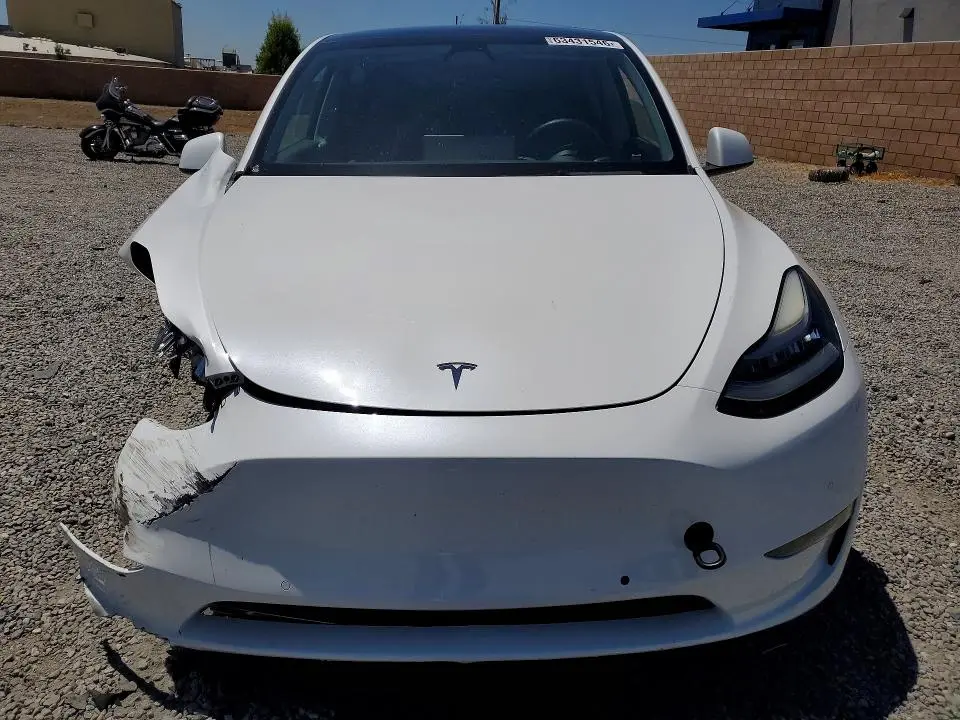 2021 TESLA MODEL Y   