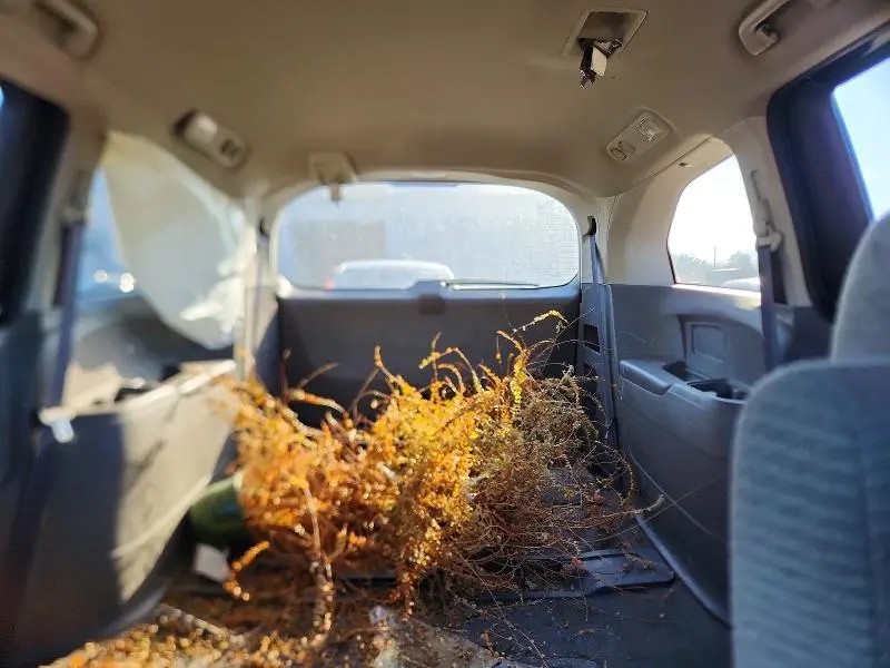 2012 HONDA ODYSSEY EX  