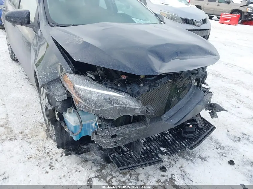 2019 TOYOTA COROLLA LE