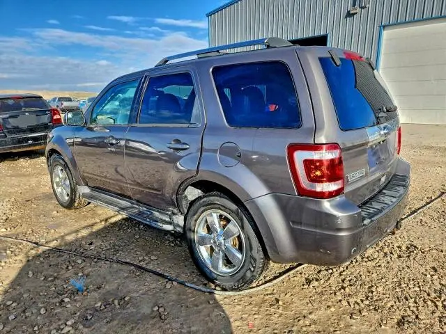 2011 FORD ESCAPE LIMITED  