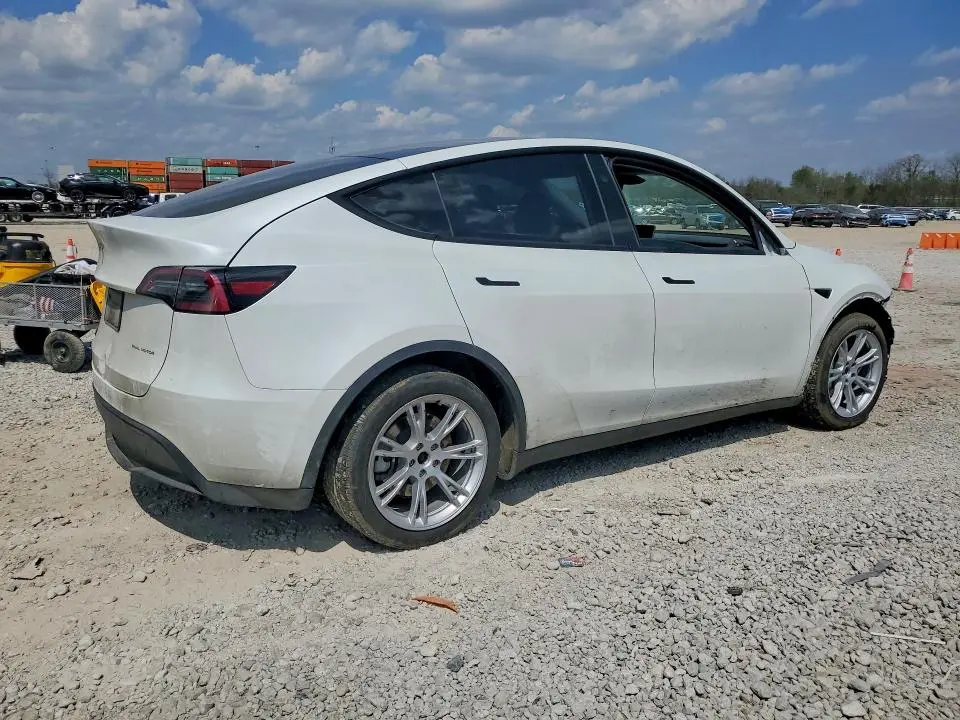 2024 TESLA MODEL Y   