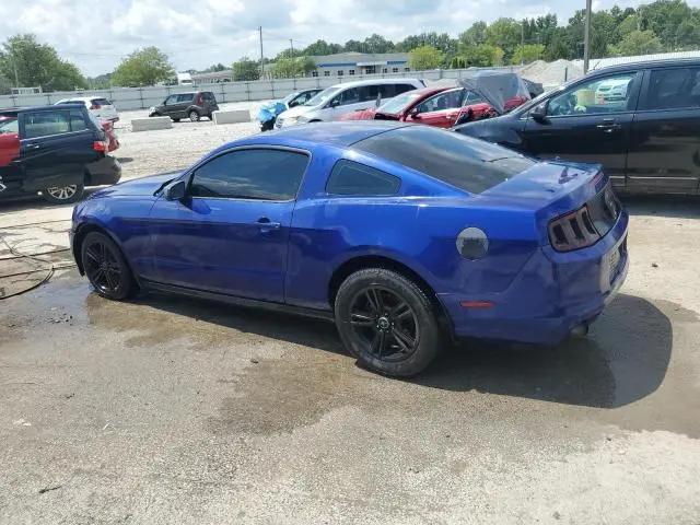 2013 FORD MUSTANG   