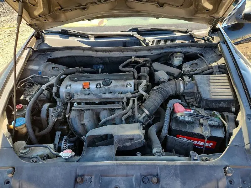 2010 HONDA ACCORD LXP  