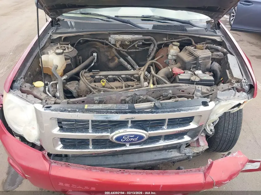 2010 FORD ESCAPE XLT