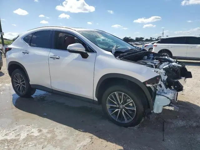 2025 LEXUS NX 250 PREMIUM  