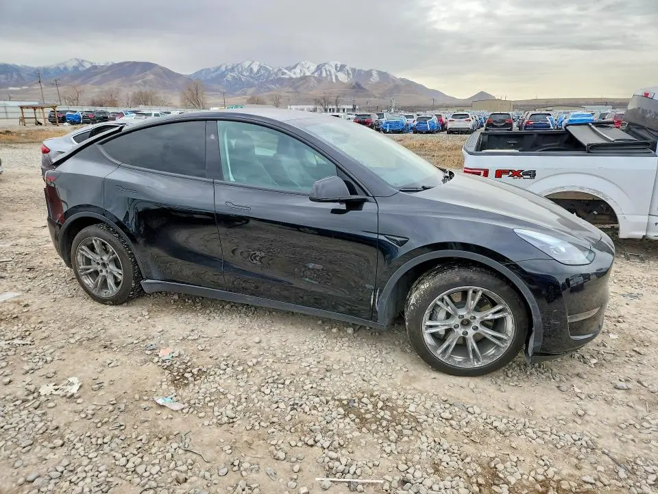 2024 TESLA MODEL Y   