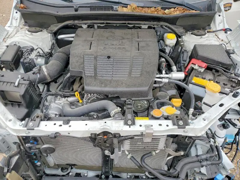 2025 SUBARU FORESTER WILDERNESS  