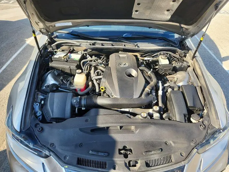2019 LEXUS IS 300  