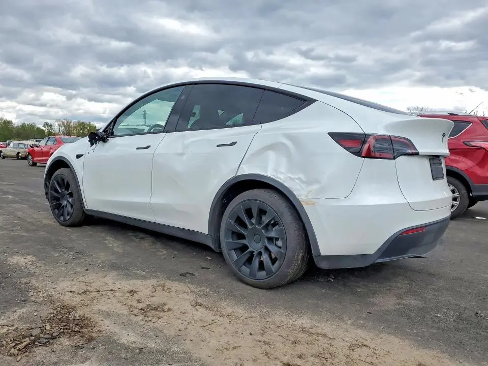 2025 TESLA MODEL Y   