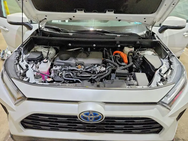 2024 TOYOTA RAV4 SE  