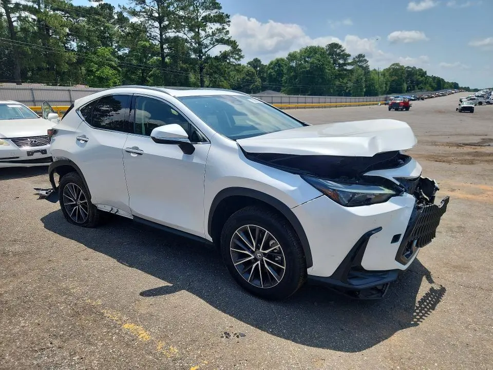 2023 LEXUS NX 250  