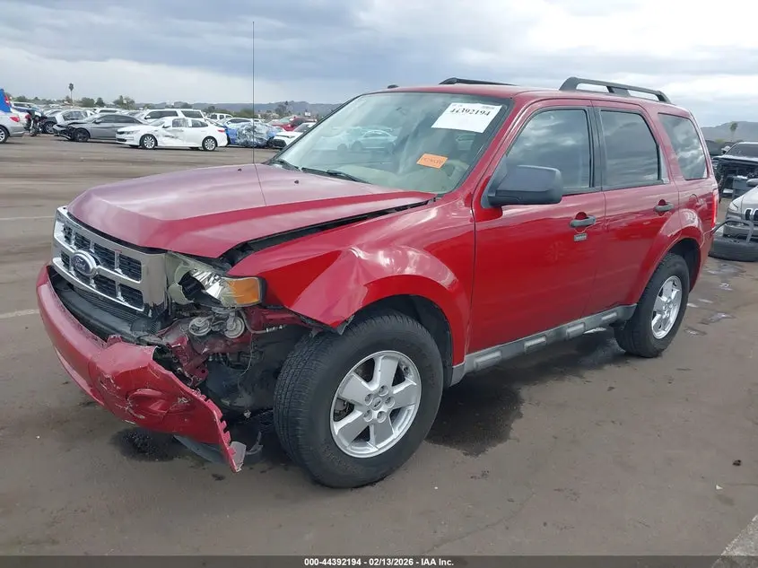 2010 FORD ESCAPE XLT