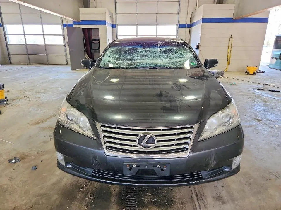2010 LEXUS ES 350 BASE  