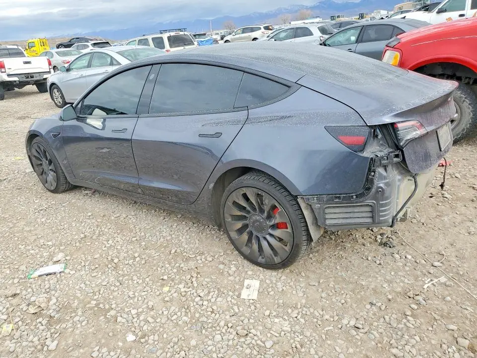 2023 TESLA MODEL 3   