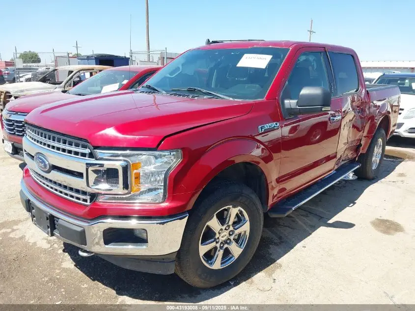2019 FORD F-150 XLT
