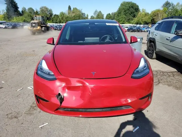 2020 TESLA MODEL Y   