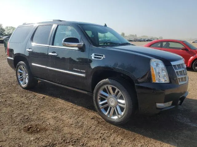 2010 CADILLAC ESCALADE PLATINUM