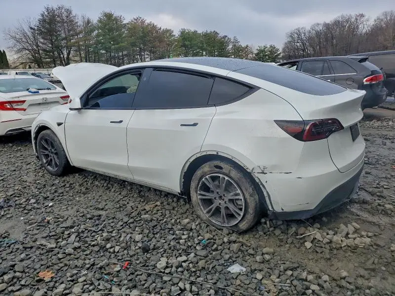 2025 TESLA MODEL Y   