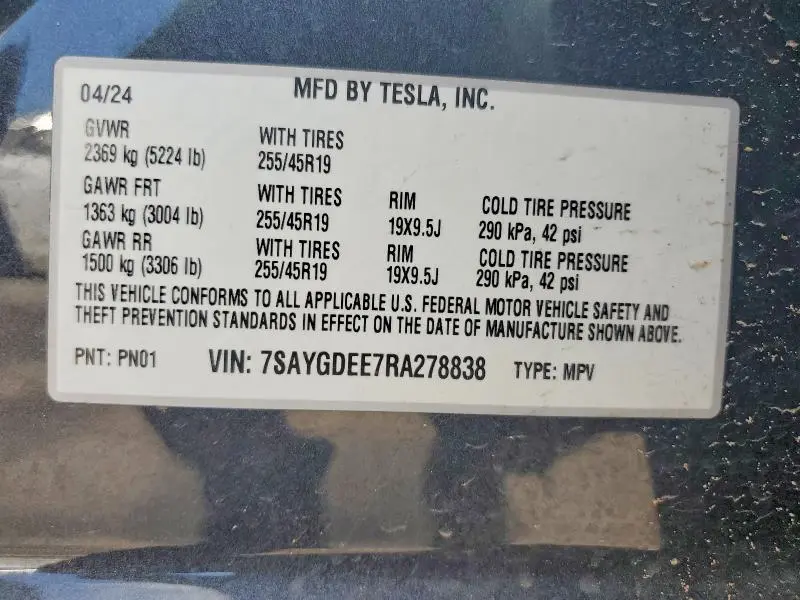 2024 TESLA MODEL Y   