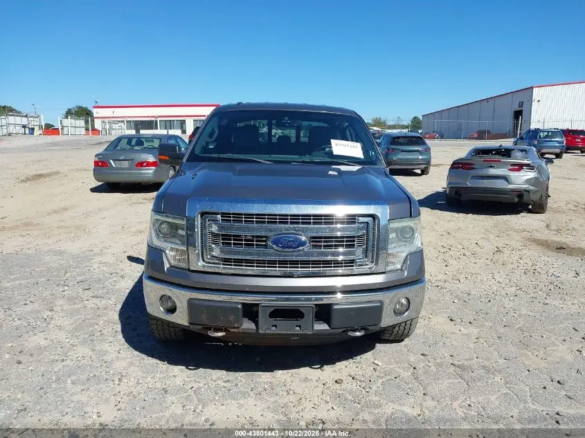 2014 FORD F-150 XLT