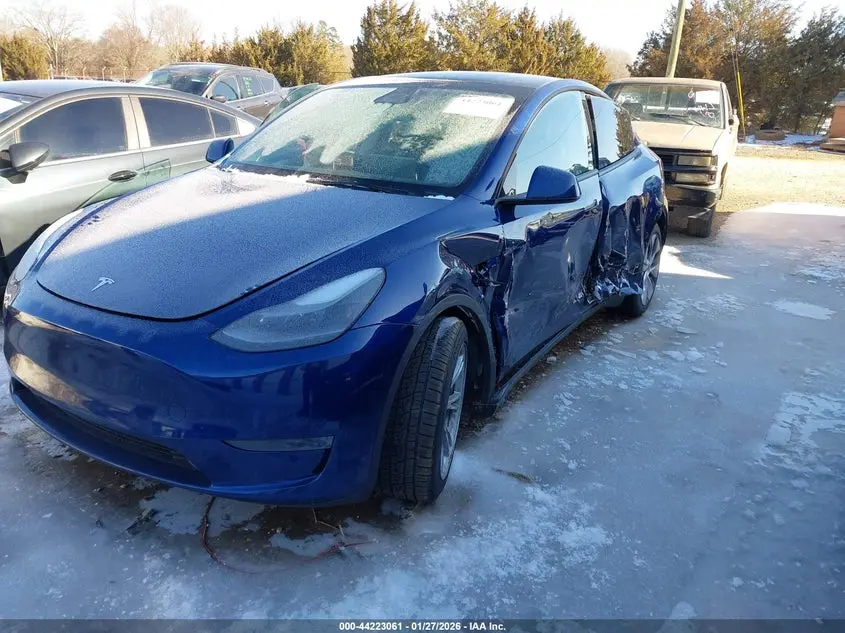 2024 TESLA MODEL Y RWD