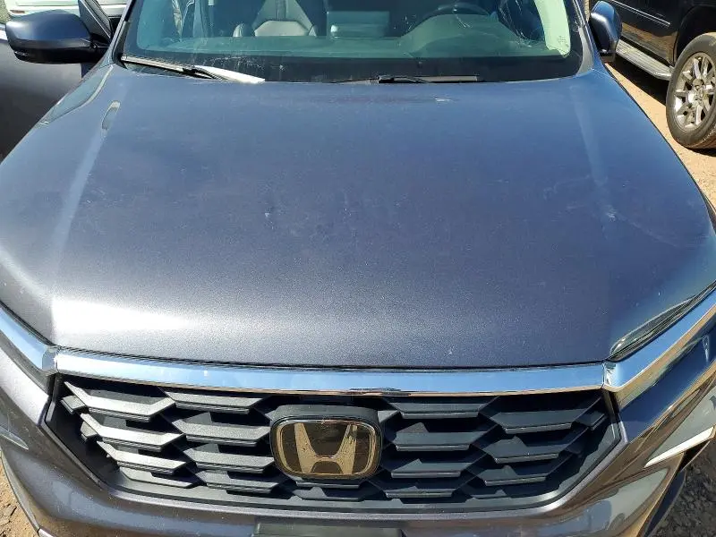 2025 HONDA PILOT EXL  