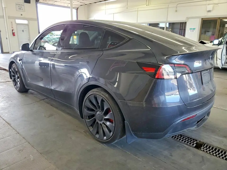 2024 TESLA MODEL Y   