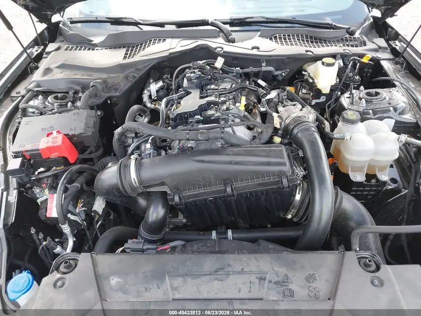 2025 FORD MUSTANG ECOBOOST FASTBACK